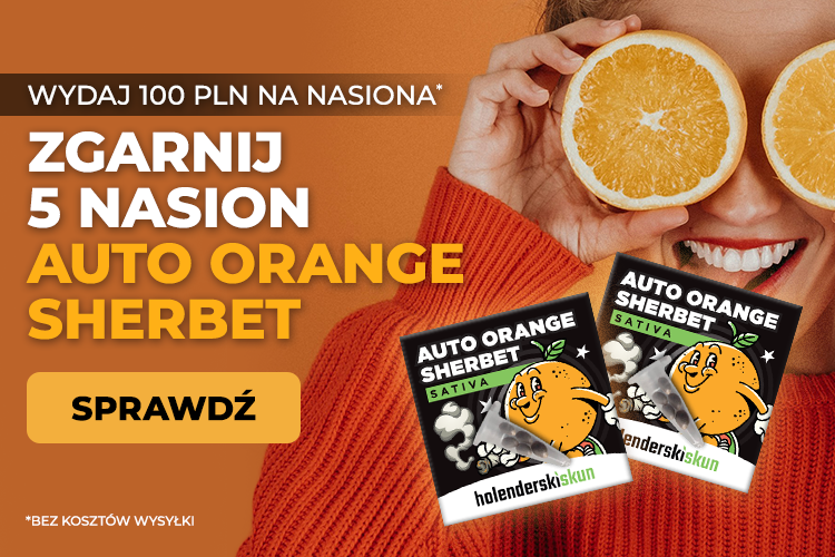 Auto Orange Sherbet Gratis